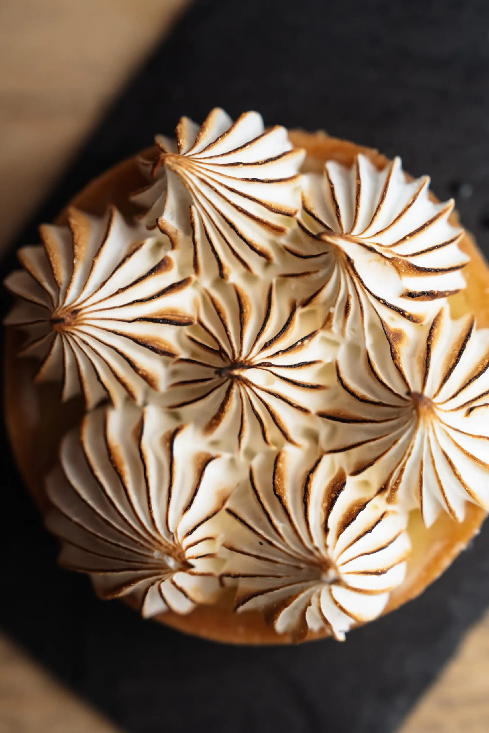 Lemon Tart 1n scaled Lemon Tart 1n scaled